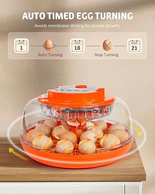 18 Egg Incubator with Automatic Turning & Humidity Control, Fully Automatic Incubators with 2 Trays, Egg Candler, for Hatching Chicken, Duck, Goose, Quail, Pigeon, Turkey, Home, Classroom, Farm Use