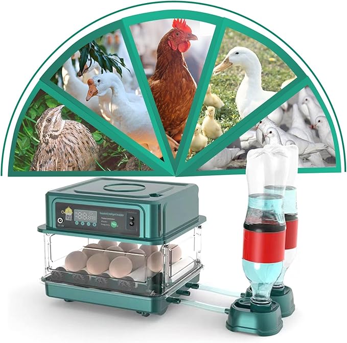 Automatic Egg Incubator 12-38 Eggs Automatic Poultry Intelligent Incubator for Hatching Eggs,with Automatic Turner, Egg Candler&Temperature Control,for Hatching Chicken Quail Bird Duck Eggs(12 EGGS)