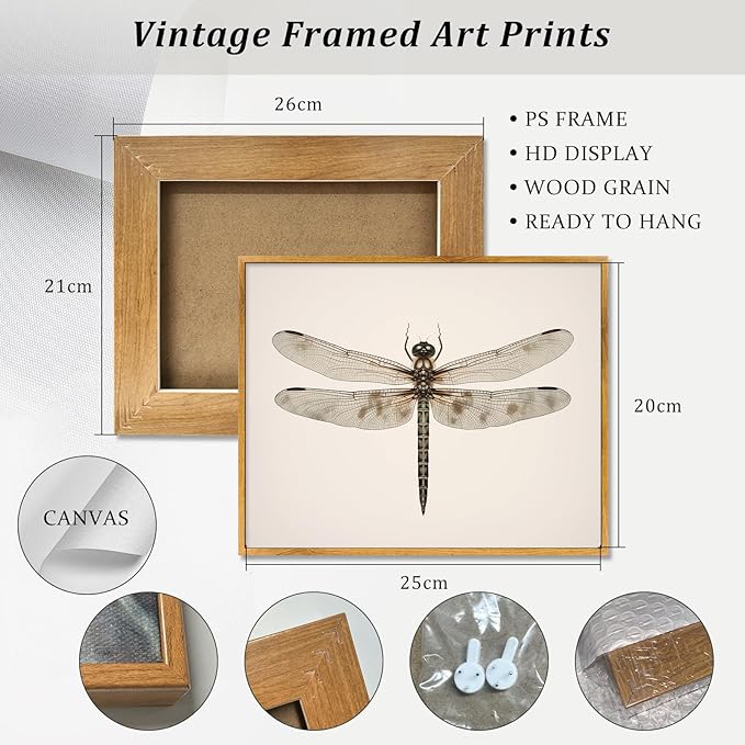 Vintage Dragonfly Wall Art Retro Insect Print Neutral Insect Vintage Poster Antique Brown Canvas Painting Animal Lover Poster Neutral Retro Picture Victorian Dragonfly Artwork for Bedroom Wall Decor