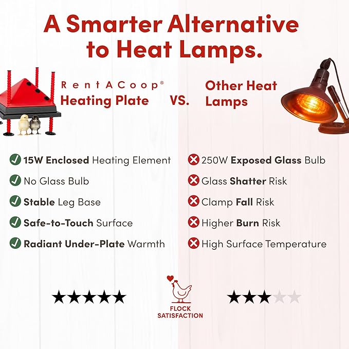 RentACoop 10x10” Adjustable Heating Plate with Bonus Foldable Anti-Roost Cone for up to 15 Chicks | Chick Brooder Heat Plate – Energy-Efficient 15-Watt Chick Heater - Safer Than Heat Lamps