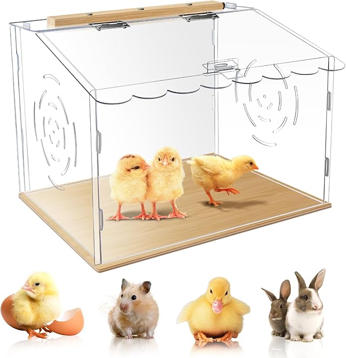 Spacious Chicken Brooder Boxs, Brooder Box for Chicks, Acrylic Chicken Brooder, Chickens Brooder Kit for Ruffed Grouse, Hedgehogs, Hamsters, Reptiles (Transparent)