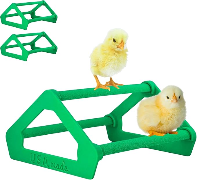 Roosting Perch for Baby Chickens, Chick Brooder Coop Training Toy Accessory, Easy Click Together Assembly, Durable Plastic, Mix and Match Colors, USA Made (Green, 3 Pack)