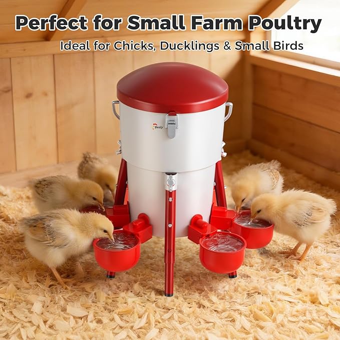 Metal Chick Waterer, Poultry Waterer Container Tank, Chickens, Ducks & Other Poultry for Enthusiasts, Agriculturists, and Ranchers, 0.5 Gallon