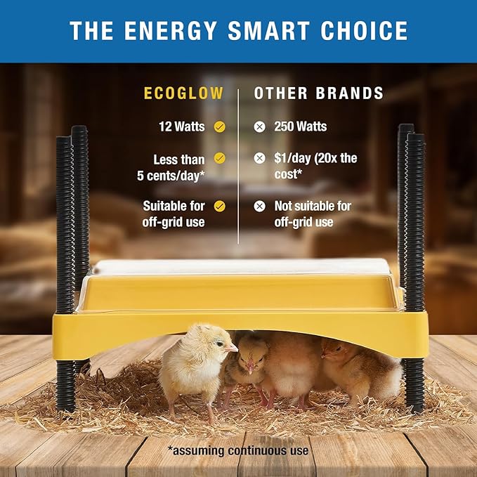 Brinsea Ecoglow Safety 600 Chick or Duckling Brooder, Adjustable Height & Angle Brooder Plate, Ideal for Chicken Coops Poultry Heating with Safety Indicator, 12 Watts