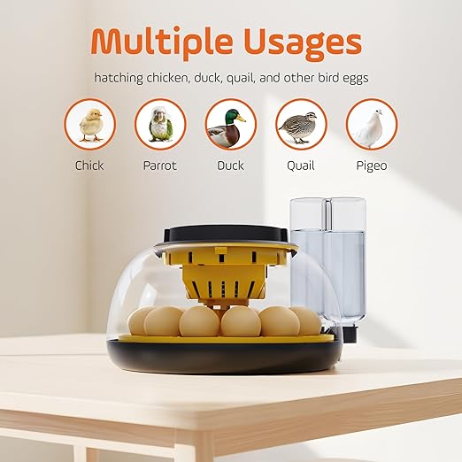 Automatic Egg Incubator, Auto Egg Turner,Temperature Smart Control, Humidity Display, Egg Candler, Hatching Chicken Duck Goose Eggs (12 Egg Incubator)