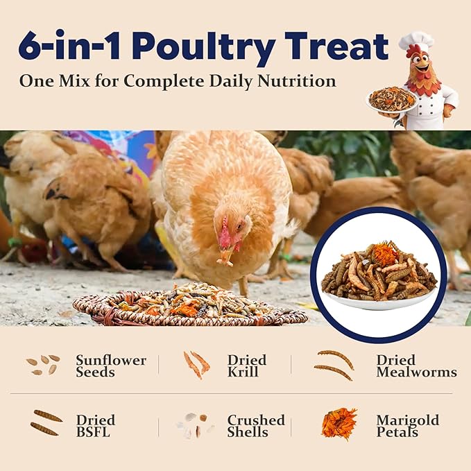 6-in-1 Poultry Treat Mix 5LBS High-Protein Mealworms, BSFL, Krill, Sunflower Seeds, Marigold Petals & Shells for Chickens & Ducks | Supports Strong Eggshells, Feather Health & Rich Yolks