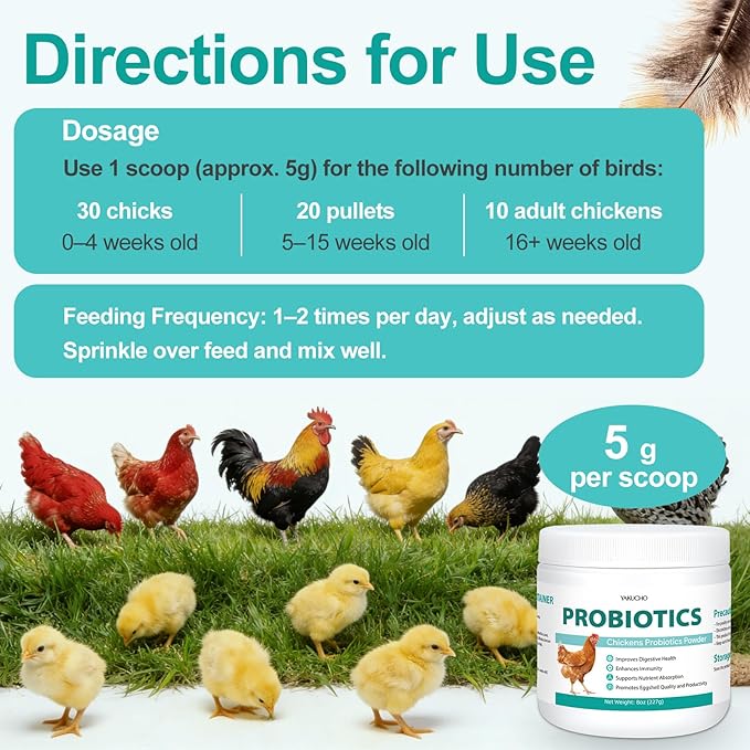 Chicken Probiotic Powder, 300 Billion CFU Multi-Strain Poultry Probiotics for Poultry, Supports Digestive Health Immune Support & Eggshell Quality, Easy Mix Feed Supplement Pullets Layers 8 oz