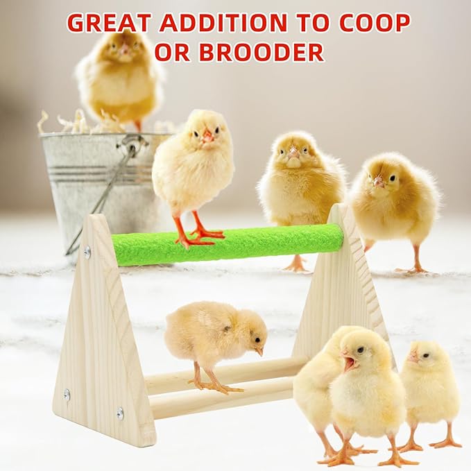 Chick Feeder and Waterer Kit with Chick Perch, 1l Chick Waterer, Flip Top Poultry Feeder, Chick Starter Kit for Chick Brooder, Baby Chicken Supplies for Baby Chick, Duck and Quail