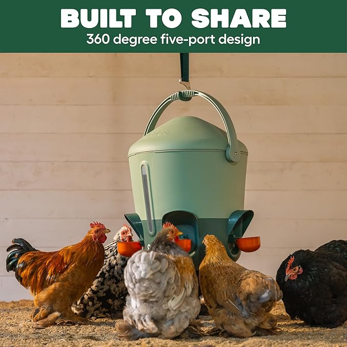 Omlet Insulated Chicken Waterer, 3 Gallon | Stay-Clean Automatic Water Dispenser for Chickens | BPA-Free | Anti-Roost Domed Lid | Includes 5 Cups & Nipples | Sage Green