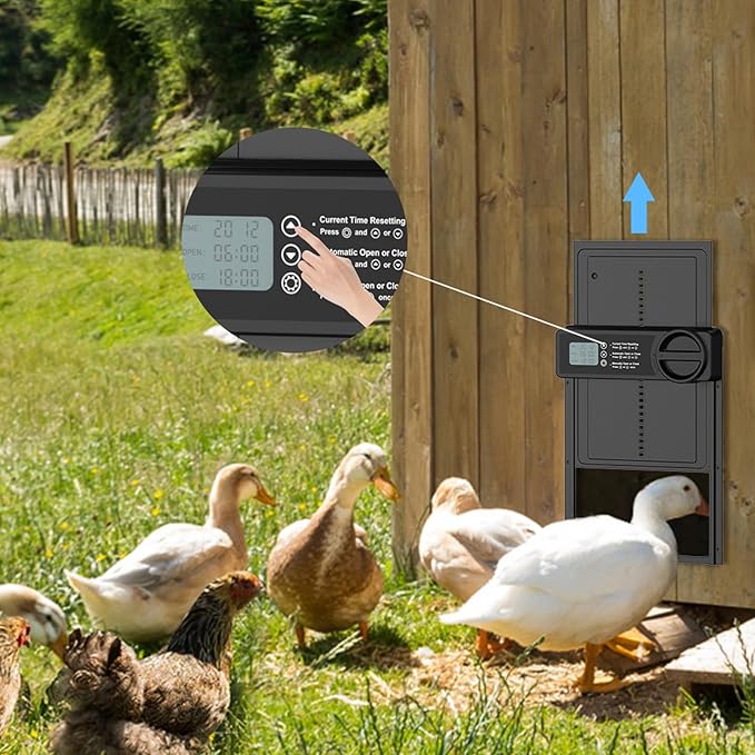 Automatic Chicken Coop Door, Waterproof Aluminum Alloy Solar Chicken Coop Door，Programmable LCD Screen with Timer