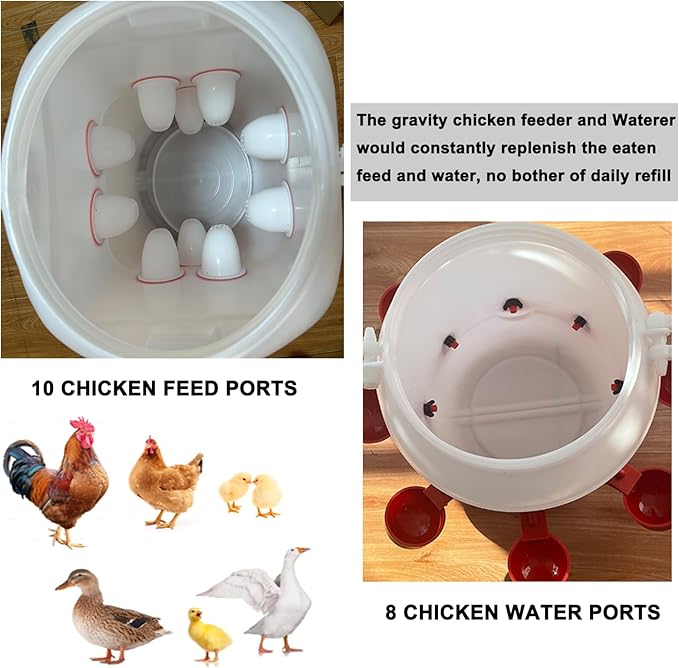 Rainproof Chicken Feeder and Chicken Waterer Set (13 Gallon/60 Pounds) Automatic Chicken Feeder Poultry Feeder Bucket with 10 Ports Chicken Waterer (2.6 Gallon/10L) with 8 Water Cups