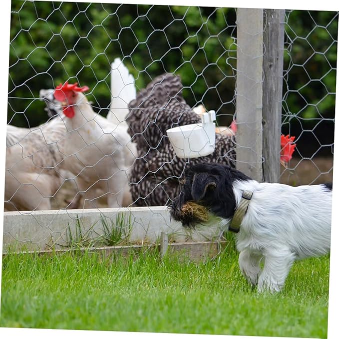 1Roll Heavy Duty Chicken Fence Netting Galvanized Wire Fencing for Poultry Rabbit Cages and Garden Protection Durable Ventilated Barrier for Optimal Animal Living