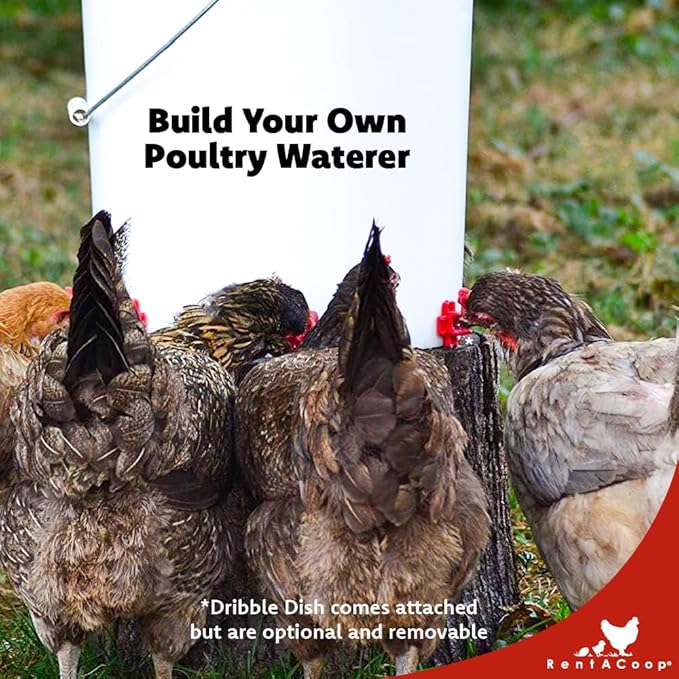 RentACoop DIY Waterer Kit - Horizontal Nipples with Dribble Dish and Installation Tool - Great for Chickens, Turkeys, Peafowl, and Other Poultry - 12 Pack