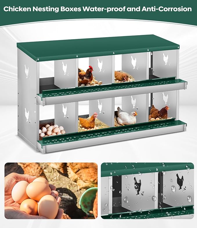 Chicken Nesting Box,8 Compartments Nesting Box for Chickens, Two-Tier Galvanized Metal Wall Mount Chicken Egg Laying Box with Large Vented Holes for Easy Egg Collection ﻿