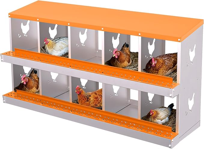 Nesting Boxes for Chickens - 10-Hole Premium Laying Boxes for Hens | Features Anti-Peck Design, Protecting Eggs & Space-Saving Style | Durable Nesting Box for Easy Egg Collection and Happy Hens