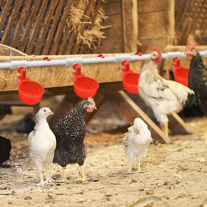 Automatic Chicken Waterer System Kit with Chicken Water Cups Nipples Float Valve Pipeline 58 PCS Complete Set Chicken Water Feeder Dispenser Large Chicken Watering System PVC Poultry Waterer Drinker