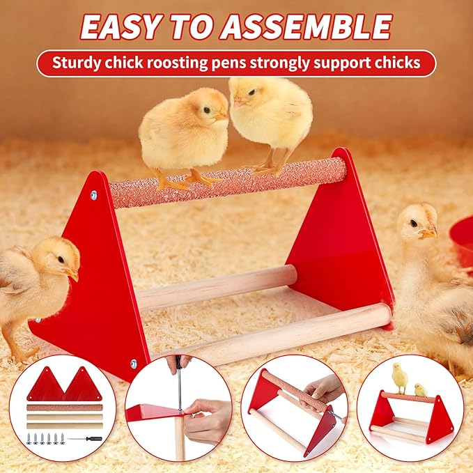 6 Pack Chick Feeder and Waterer Set - Chick Starter Kit with Mini Perch, Automatic Chicken Waterer & Feeder for Ducks/Quail, Coop Brooder Supplies for Small Poultry