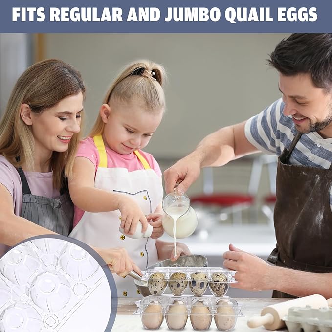 60 Pcs Quail Egg Cartons Combo, 12 Grids Clear Egg Cartons Clear Plastic Stackable Trays – Fit Both Standard & Jumbo Quail Eggs Also for Pigeon Small Poultry Ideal for Home Farm Market Use