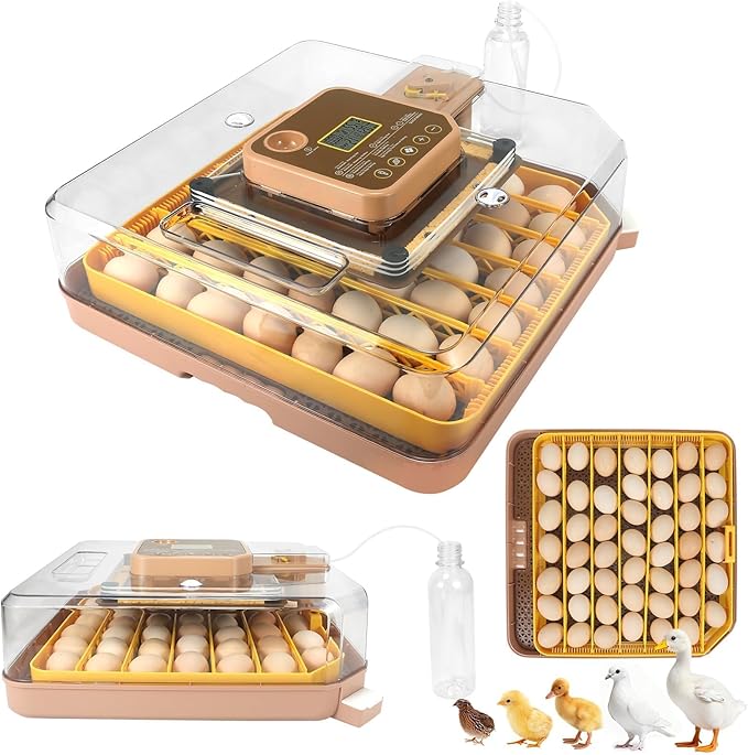 Series IV - 48 Egg Incubator for Breeders, Sensor-Based Precise Humidity & Temp Control, Chick Separator, Adjustable Egg Spacing, Auto Turn & Auto Stop, Preset Incubation Days, Candler