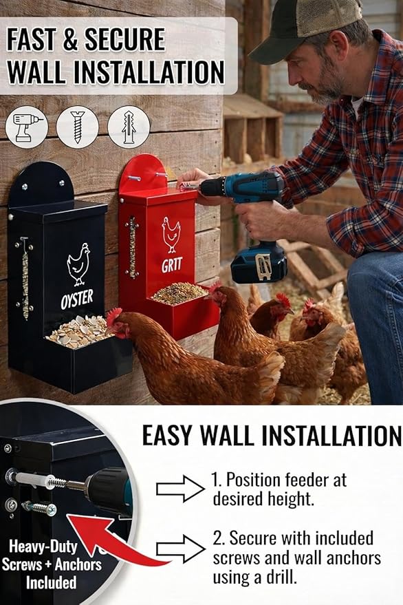 Premium Metal2 Packs Oyster Shell Feeder for Chicken with Viewing Window Grit Oyster rain Cover Fodder Crushed Alimento para Chicken Coop Accessories Improve Eggshell Quality and Hen Health