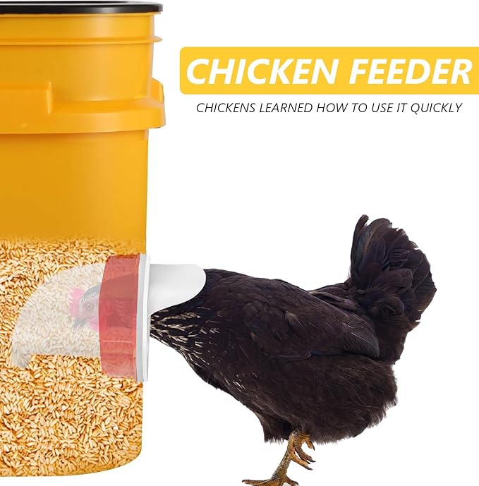 MAFONE DIY Chicken Feeder No Waste,Mess Cups Kit for Gravity Automatic Chickens Bucket Feeder Fit for Buckets, Barrels, Bins,Troughs,Rain Proof Poultry Feeder Port(4 White Red Ports,1 Hole Saw)