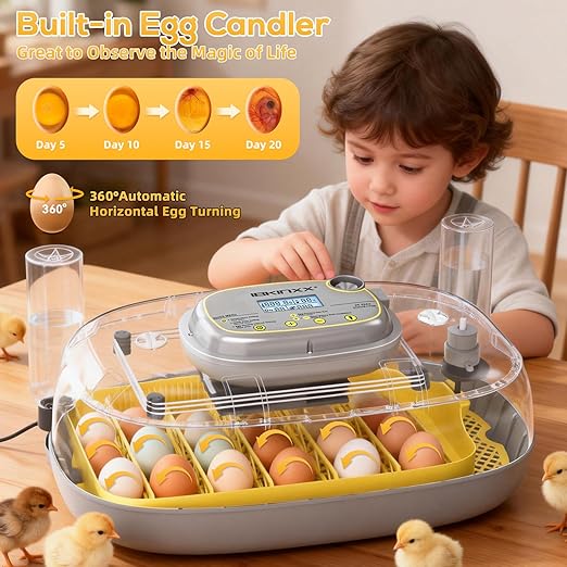 Incubator for Hatching Eggs-24 Egg Capacity, Automatic Egg Turner, Temperature & Humidity Control, 360° Viewing for Chicken, Duck and Quail Eggs
