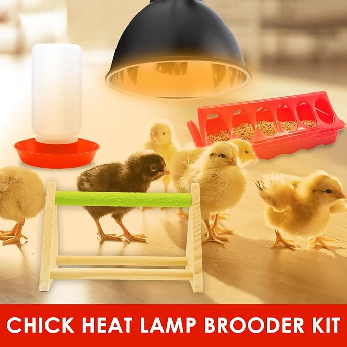Chick Feeder and Waterer Kit with 75W Heat Lamp, Chick Perch, Flip Top Poultry Feeder, Baby Chick Starter Kit for Chick Brooder, Baby Chicken Supplies for Baby Chick, Duck and Quail