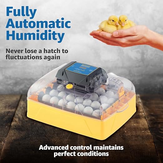 Brinsea Ovation 28 EX Egg Incubator & Expert Incubation Book, Automatic Humidity Control and Egg Turning for Hatching 28 Chicken, Duck, Other Bird Eggs, Precision Digital Controls
