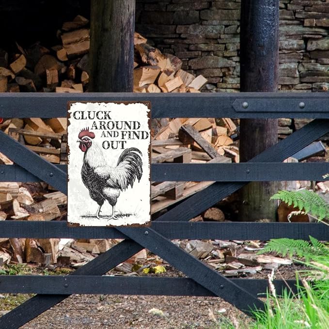 Vintage Chicken Coop Metal Tin Sign Farmhouse Decor Chicken Around And Find Out Funny Rustic Decoration For Home Kitchen Farm Backyard Garden 8 x 12 Inch