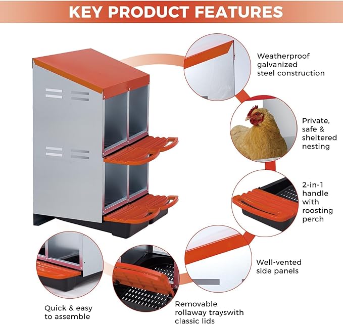 Nesting Boxes for Chickens, 4 Holes Chicken Nesting Box with Removable Tray, Easy Egg Collection, Roll Away Nesting Box for Hens, Chicken Coop, Double Layer, Orange