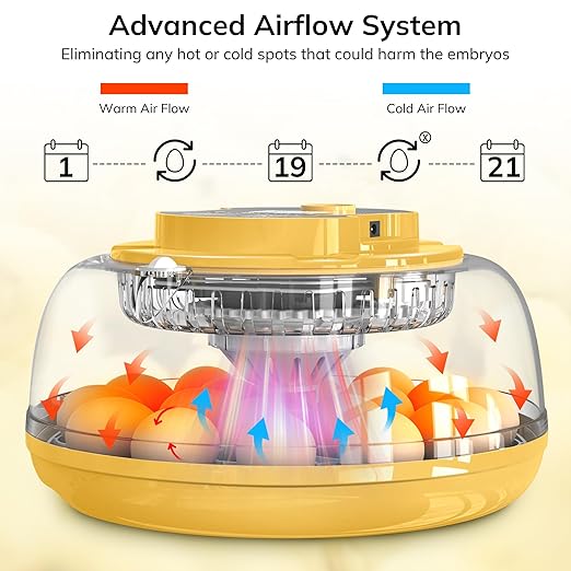 18 Egg Incubator with Automatic Egg Turning and Humidity Control, Chicken Incubator for Hatching Eggs with Temperature Display, Auto Record, Egg Candler, Extra 2 Water Bottles & 2 Egg Trays