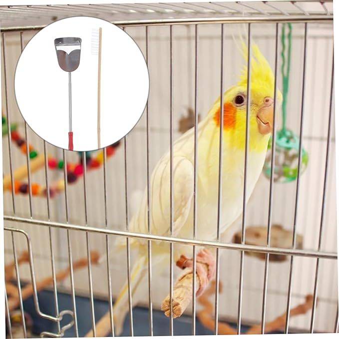2pcs Set Birdcage Brush Grooming Cleaner Bird Cages Bird Poop Pet Bird Cleaning Brush Bird Cage Accessories Parrot Cage Accessory Bird Cage Brush Stainless Steel