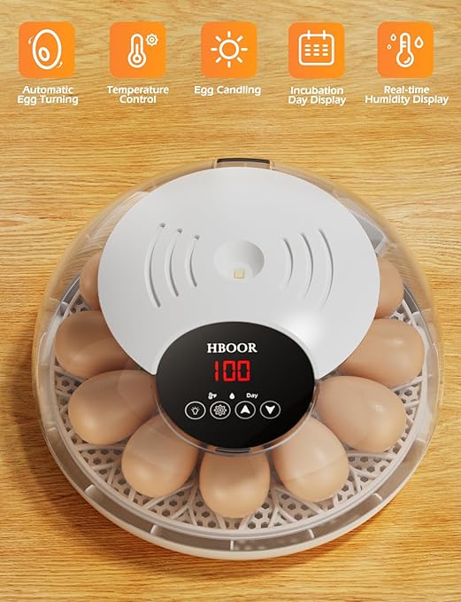 Incubators for Hatching Eggs, 12 Egg Incubator with Automatic Egg Turning and Temperature Humidity Control, Egg Candler incubadora de huevos de gallina for Home, Farm, Classroom, Chicken, Duck, Quail