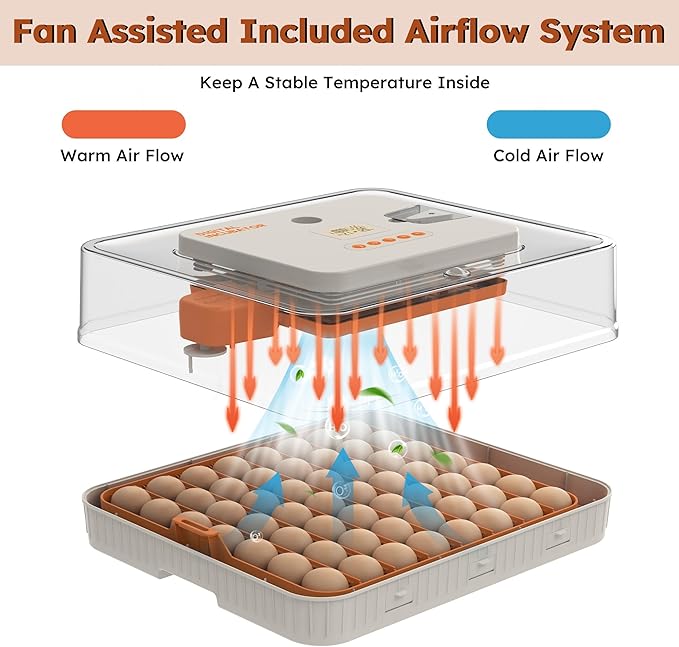 56 Egg Incubator with Automatic Turning & Humidity Control – Digital Poultry Hatcher for Chicken, Duck, and Goose Eggs – Built-in Egg Candler & Auto Water Refill, 360° Clear View