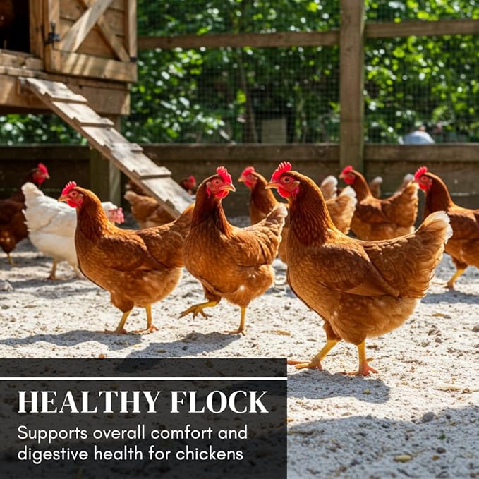 World’s Best Chicken Dust Bath – Natural Wood Ash, Sand & Fine Dust Blend – Safe for All Chickens (2 Pounds)