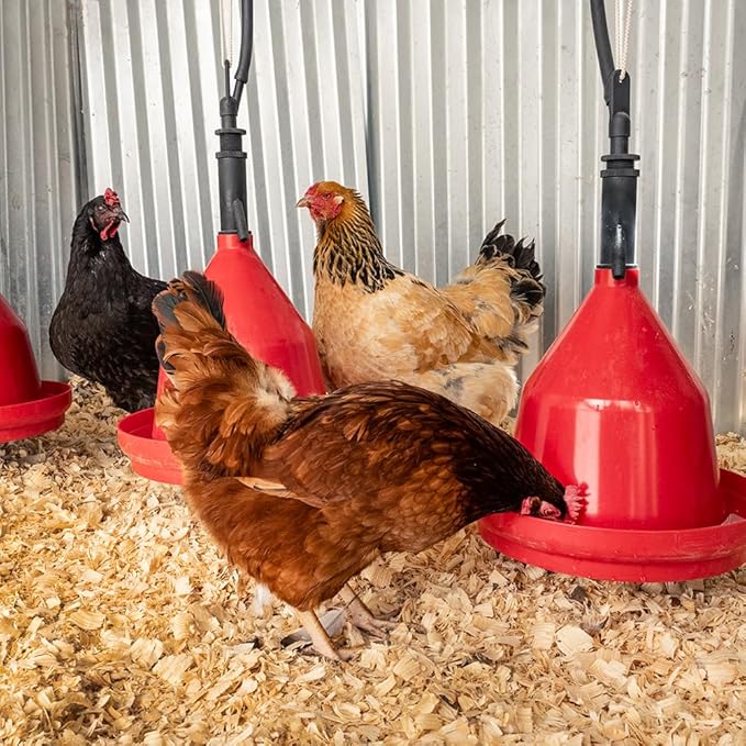 Premier 1 Suspended Dome Drinker for Chickens, Ducks, Geese & Turkeys