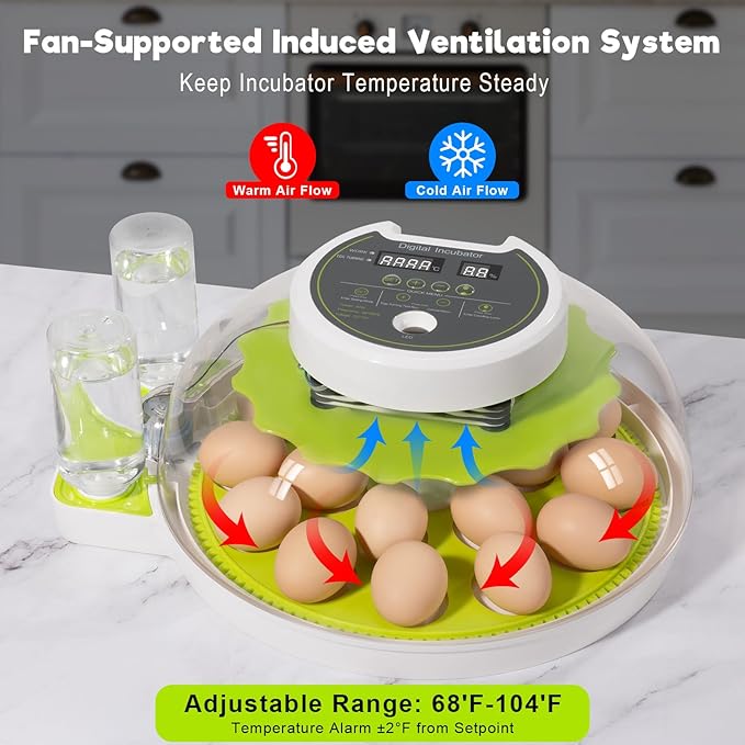 18 Egg Incubator with Automatic Turning & Humidity Control, 0.1 Precision for Chicken/Duck/Goose/Quail/Parrot Eggs (Green)
