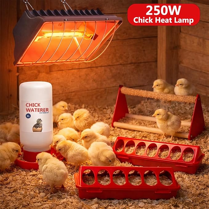 250W Heat Lamp for Chicks, 5 Pcs Chick Starter Kit with Chick Feeder and Waterer Set, Chick Stand Perch, Adjustable Hanging Height for Poultry Supplies Indoor Warmer (Grey)