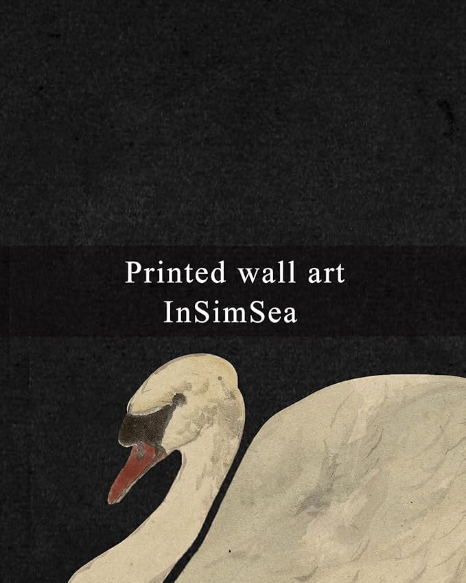 InSimSea Framed Canvas Wall Art Swan Art Framed Wall Decorations, Grace Swan Painting Pictures Rustic Bathroom Wall Decor, Farmhouse Wall Decor for Living Room, Bedroom, Office Decor 10X10in