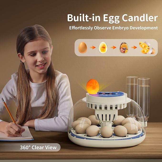 12 Egg Incubator with Temperature and Humidity Display, Automatic Egg Turning, Egg Candler, Automatic Water Refill, for Chicken, Quail & Duck Eggs, Perfect for Home, Farm, Classroom, Lab Incubators