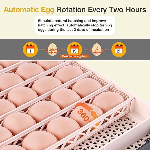 Sailnovo 48 Egg Incubator for Hatching Eggs with Precise Temp & Humidity Control,Auto Egg Turning, 360°Viewing, Egg Candler,Incubator for Chicken Eggs/Duck/Quail/Turkey,Ideal for Farm/School/Lab,Grey
