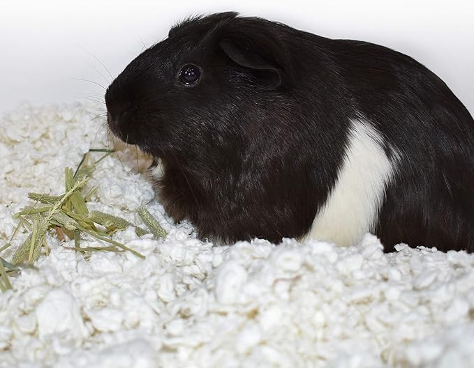 carefresh® White Nesting Small pet Bedding, 50L (Pack May Vary), Model Number: L0382