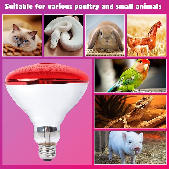 LUCKY HERP Infrared Heat Lamp for Chickens, 250 Watt Red Heat Lamp Bulb, 2 Pack Heat Light Bulb, Brooder Heat Lamp for Chicks Coop, Reptiles, Amphibian, Pet, Food Service