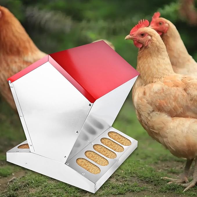 Chicken Coop Feeder Feeder Large Capacity Galvanized Heavy Duty Container Coop Accessories Outdoor Feeding Equipment