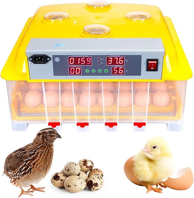 48-Egg Fully Automatic Digital Incubator - One-Touch Operation, Smart Egg Turner & Temperature Control for Chicken, Duck, Quail & Bird Eggs