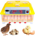 48-Egg Fully Automatic Digital Incubator - One-Touch Operation, Smart Egg Turner & Temperature Control for Chicken, Duck, Quail & Bird Eggs