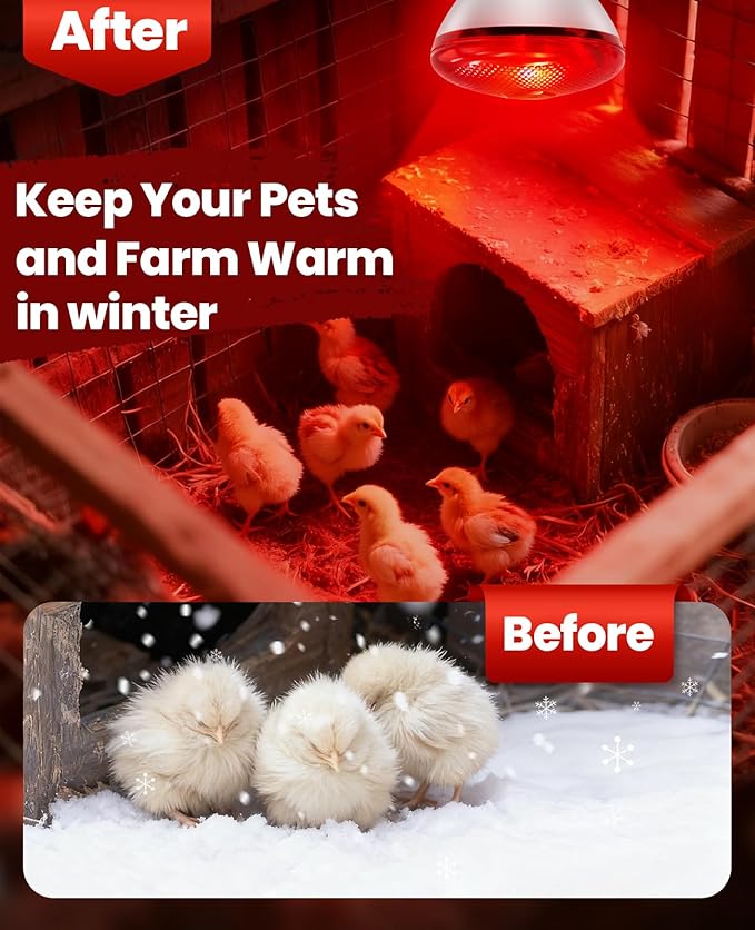 Infrared Heat Lamp for Chickens: 250W Red Heat Lamp Bulb - Heat Light Bulbs for Brooder Coop Chicks Pets Reptile Food Service Bathroom Light Therapy - Chicken Infrared Incandescent Light Bulbs -1 Pack