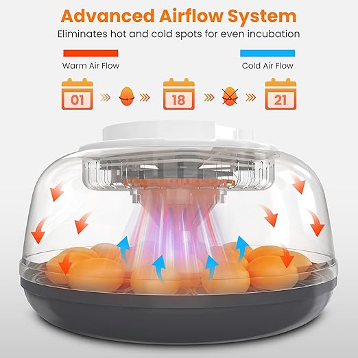 18 Egg Automatic Egg Incubator for Hatching Eggs, Chicken Egg Incubator with Auto Egg Turning, Humidity & Temperature Control, Hatch Day Counter, Egg Candler, 2 Egg Trays & External Water Bottles