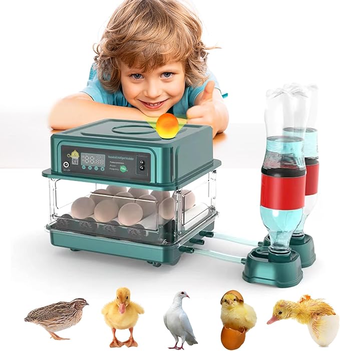 Automatic Egg Incubator 12-38 Eggs Automatic Poultry Intelligent Incubator for Hatching Eggs,with Automatic Turner, Egg Candler&Temperature Control,for Hatching Chicken Quail Bird Duck Eggs(12 EGGS)
