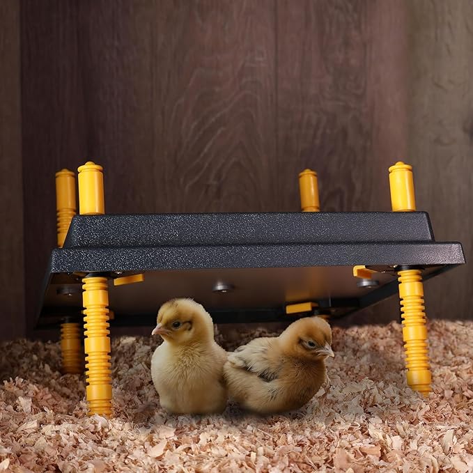 Premier 1 Chick Brooder Heating Plate with Adjustable Legs | 12" x 12" | Warms Up to 20 Chicks